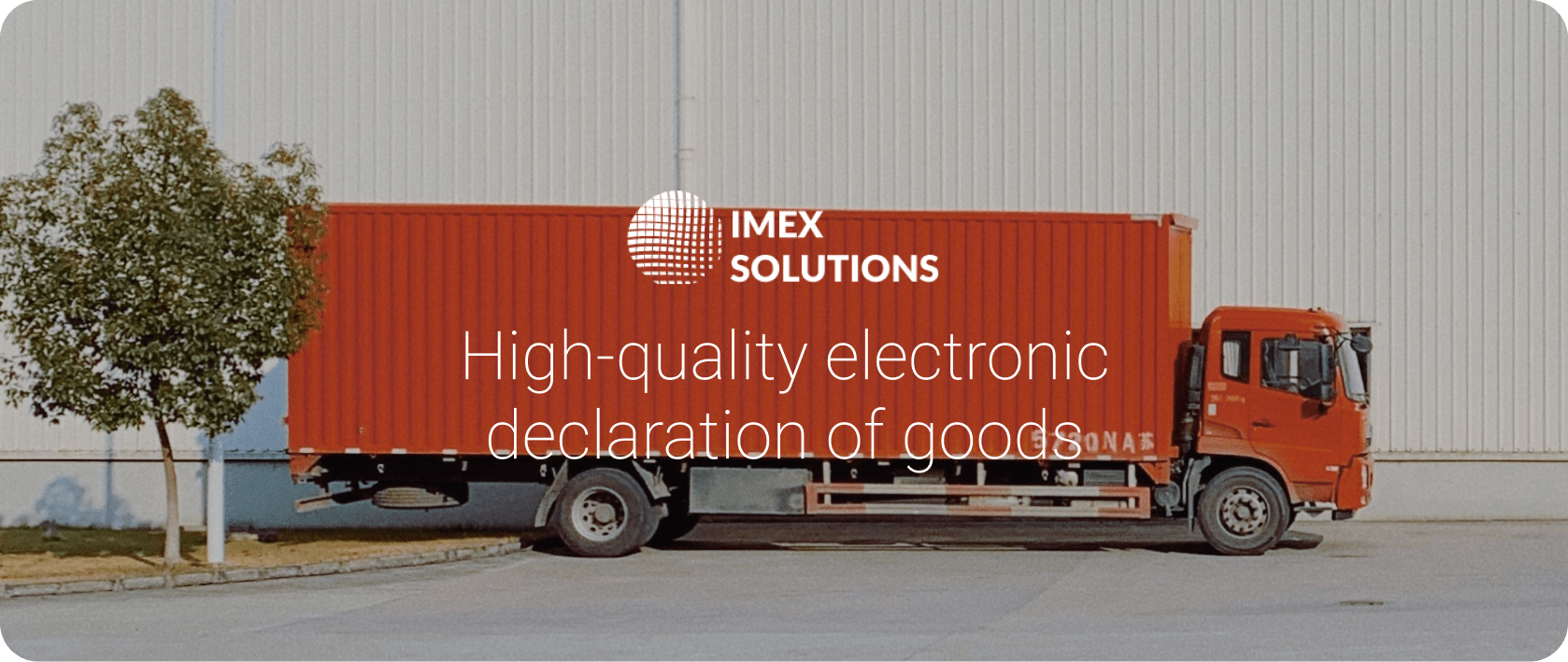 electronic declaration imex