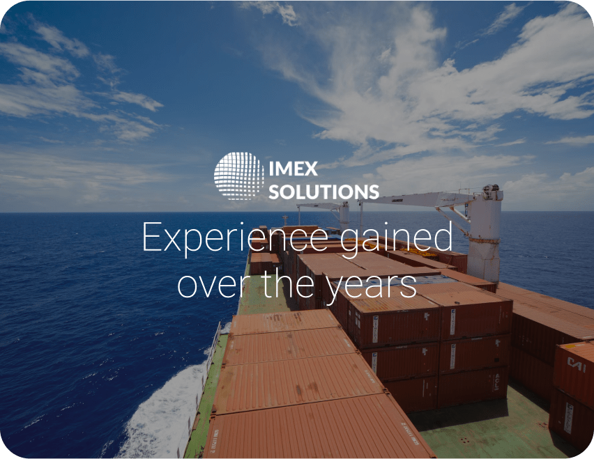 export declaration imex solutions