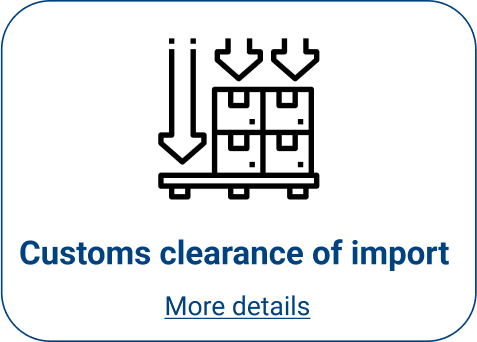 import customs clearance